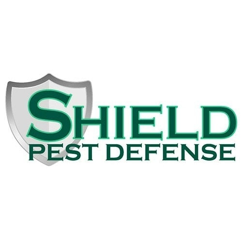 Pest Control Services