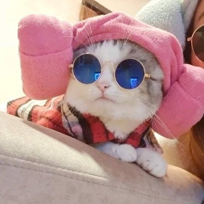 Zalozaa"(💙,🧡)"