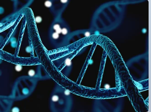 Haleh369.eth (💙,🧡)🏰🔥