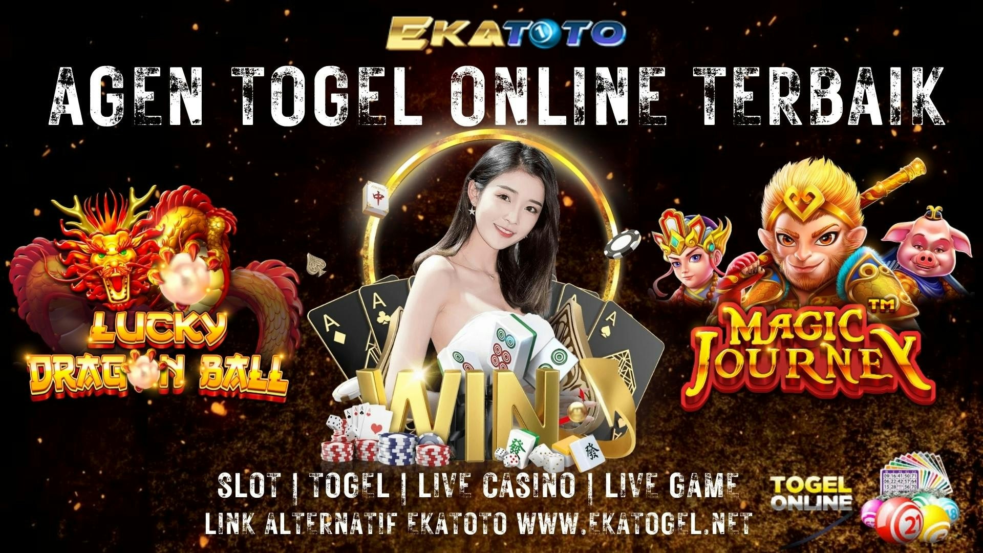 ekatogelnet