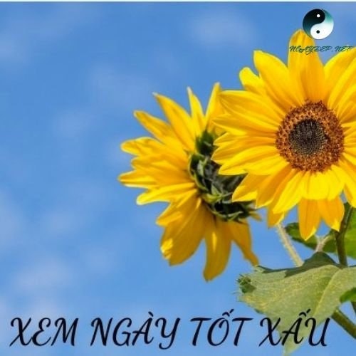 xem ngày tốt xấu