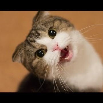 oktoberbigwinner🦋