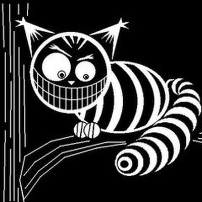 Christophe VAN DEPUTTE