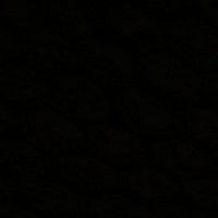 Софья Ковалева