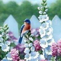 Hanan Awad Elshahawy