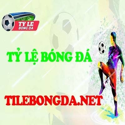 Bongda Tile