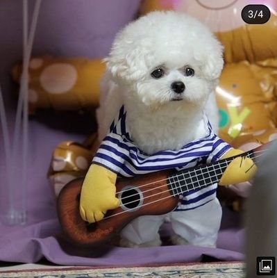 ' 𝘧𝘳𝘦𝘦𝘵𝘢𝘨 ⚡