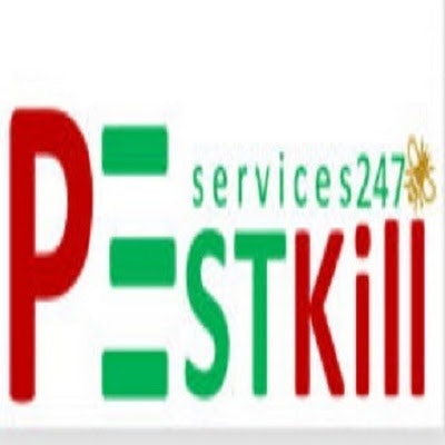 PEST KILL 247 - Công ty diệt mối