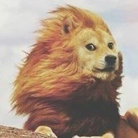 Andre Molina Jimenez