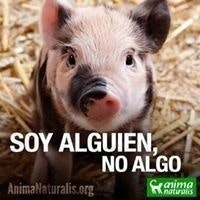 José Javier Jiménez Martínez