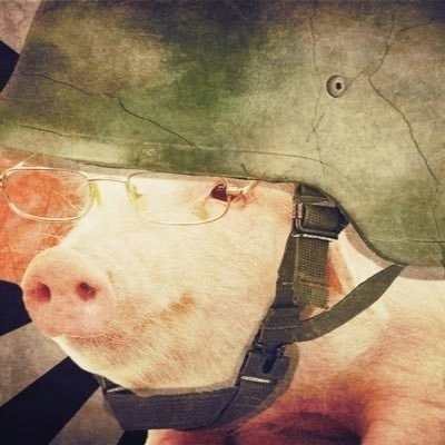 Assault_Pig