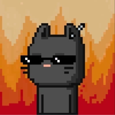 Vio 🧙‍♂️ (💙,🧡)