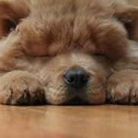 Christopher Nicholson