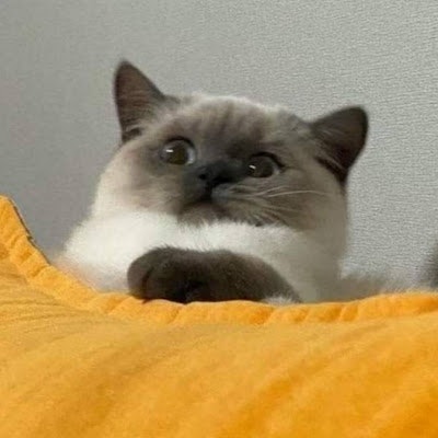 203_13เจตนิพัทธ์ รุณบุญ