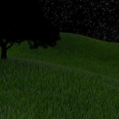 Muhammed Mustafa Özbay