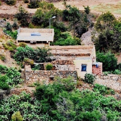 محمد الزهراني