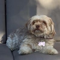 Jean-Christophe Guilbaud