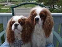 Melissa Balzer Kennedy