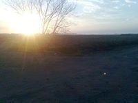 Patricia P Pf Matemática