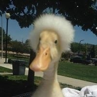 Роман Лебединский