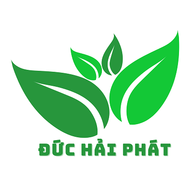 Thông cống Đức Hải Phát