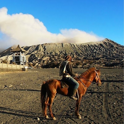 TripWisata bromo