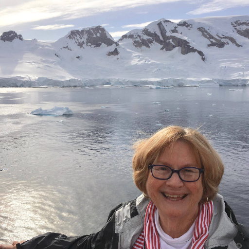 Sue Painter (@suepainter1)