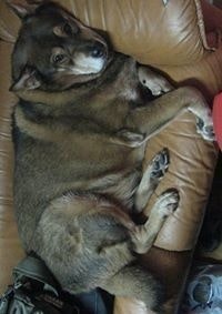 Chun Kai Richard Lau