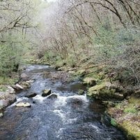 Marie-Bénédicte Boutot