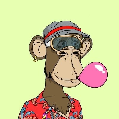 bbtengvivi.eth.lens.hft🔴✨(💙,🧡)(📦,💫)is Bo