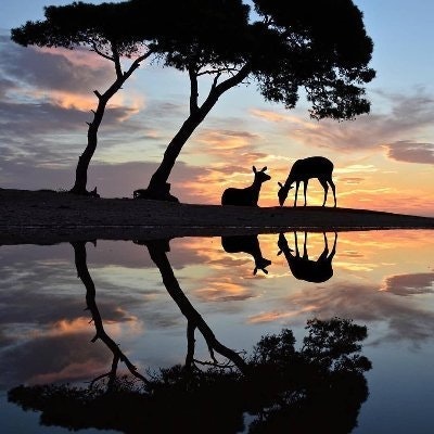 0xwallet.bit (💙,🧡)(📦,💫) 864.888