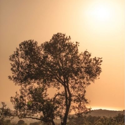 Cappado.hft (💙,🧡) 🔴✨ (📦,💫)