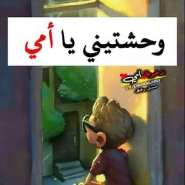 السيد ممدوح محمد بيبرس