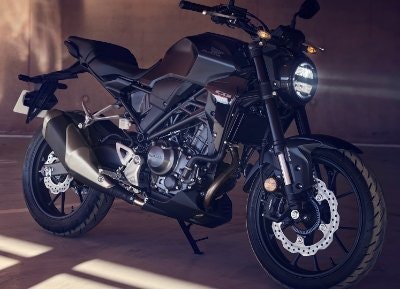 bravebuffalo1(👀, 💰)