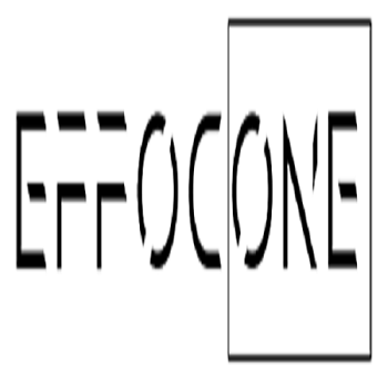 Effoc One
