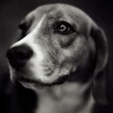 コイデ カズヒロ