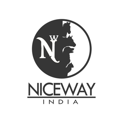 Niceway india