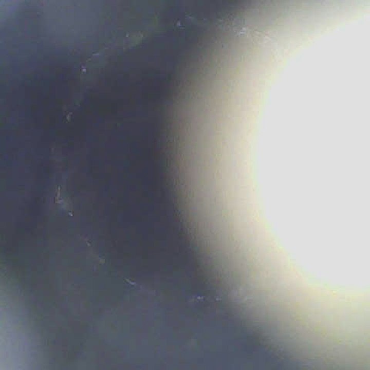 PersonofInterestingThings