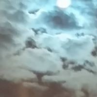 Shannon Williams McLaughlin