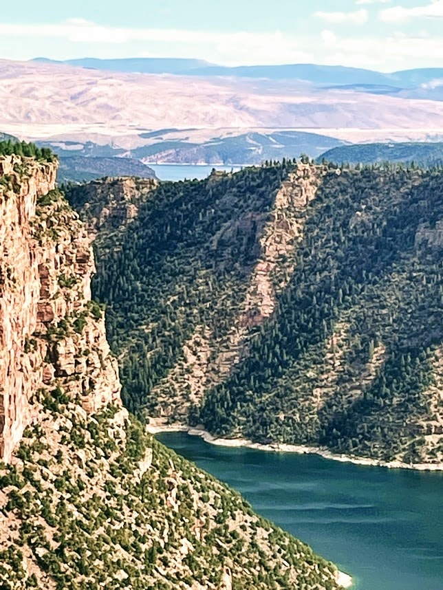 FlyPups Rescue Pilot