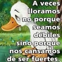 Anna Gabriela Monasterios Argote