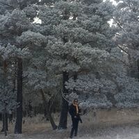 Shine-Ulzii Nyamsuren