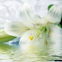 Александра Кирианова