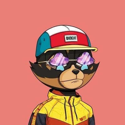 ZoLdyck•SOL "(💙,🧡)"