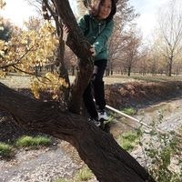 Madina English Almaty