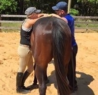 Lori AndScott Mooney