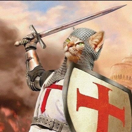 CRUSADER CAT