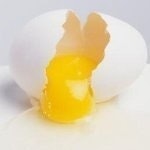 Social Media Yolk
