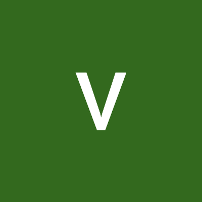 vision infotech