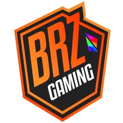  | BrzCritical ×͜× 🎄